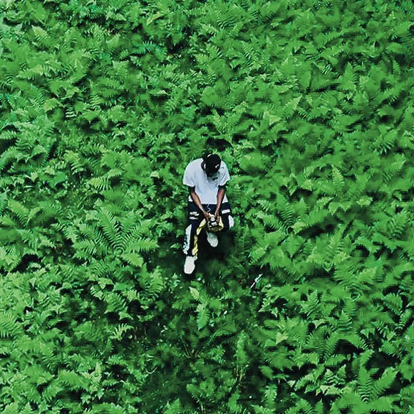 Pocket Operations III