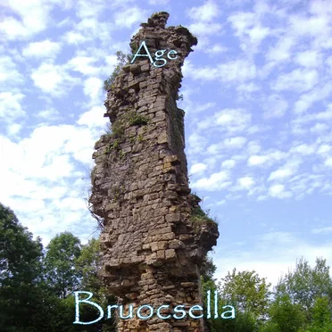 Bruocsella
