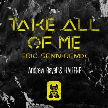 Take All of Me (Eric Senn remix)