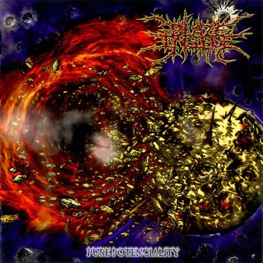 Pure Potenciality by Blaze Inside - album cover