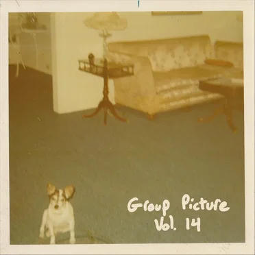 Group Picture, Vol. 14 by Various Artists - album cover