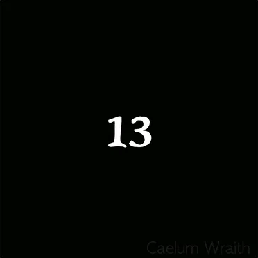 13