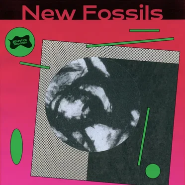 New Fossils by New Fossils - album cover