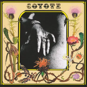 Coyote