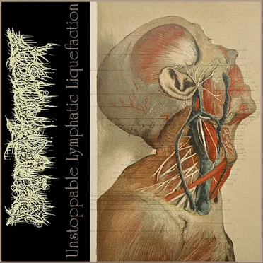 Unstoppable Lymphatic Liquefaction