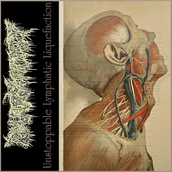 Unstoppable Lymphatic Liquefaction