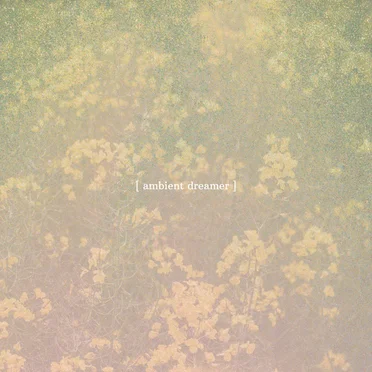 Ambient Dreamer