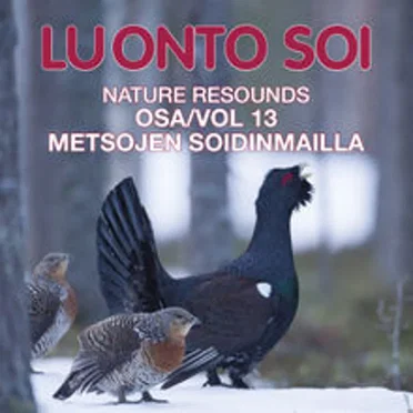 Nature Resounds Vol 13 - In the Courtship Arena of the Western Capercaillie