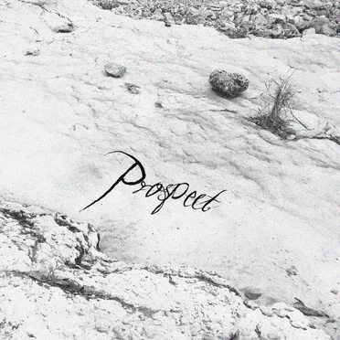 Prospect by AedFX - album cover