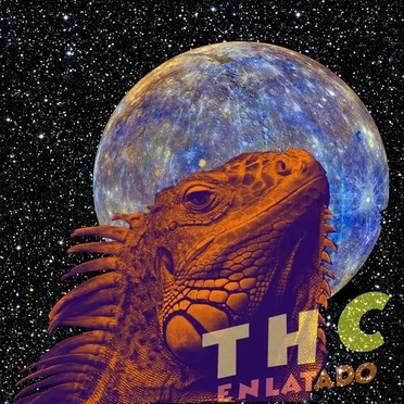 Enlatado by THC - album cover