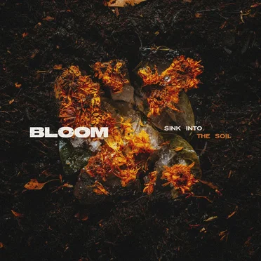 Sink Into the Soil