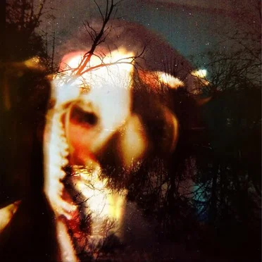 Ruby the Hatchet by Ruby the Hatchet - album cover