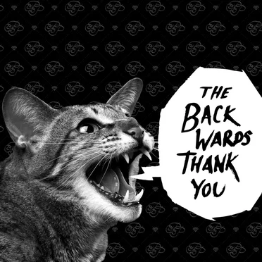 The Backwards Thank You by Princess Problems - album cover