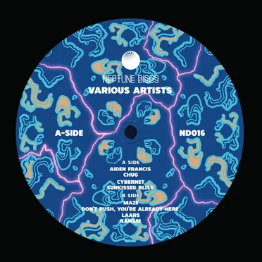 Neptune Discs, Vol. 8 by Various Artists - album cover