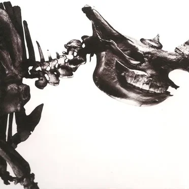 Mr.Children 1996–2000