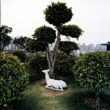 Giants: Music for Lute and Harp