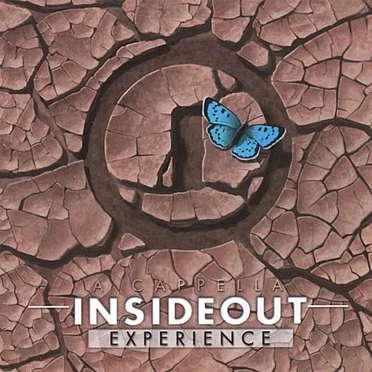 Experience