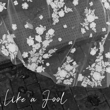 Like a Fool by Kiera Loveless - album cover