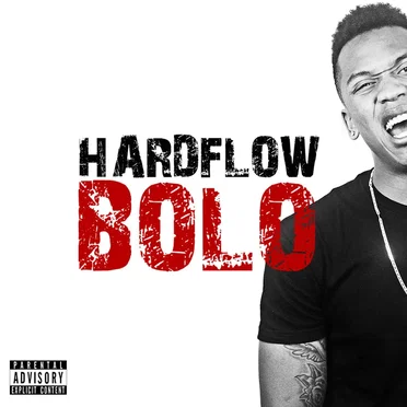 The Hardflow Bolo by Hardflow Bolo - album cover