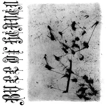 XLVIII by Bull of Heaven - album cover