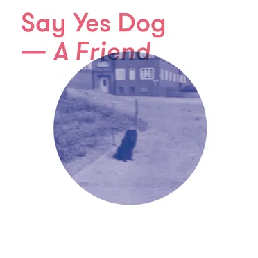 A Friend by Say Yes Dog - album cover