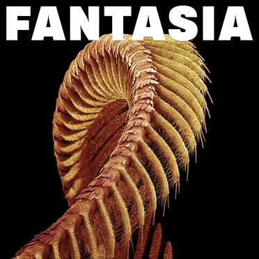 FANTASIA