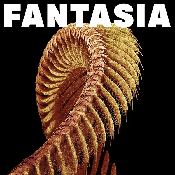 FANTASIA