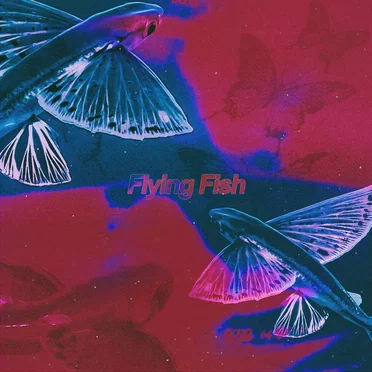 Flying Fish