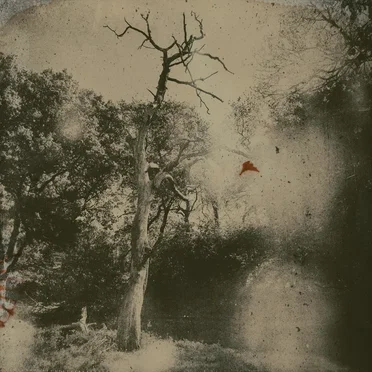 Rampike by Huw Morgan - album cover