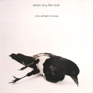 In the Cold Light of Morning by Dream City Film Club - album cover