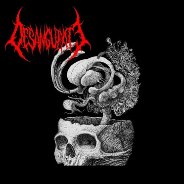 Desanguinate by Desanguinate - album cover