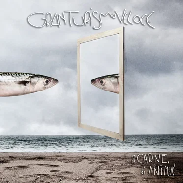 Di carne, di anima by Gran Turismo Veloce - album cover