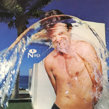 Separate Oceans by Ned Doheny - album cover