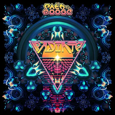 Radiate by Path of the Moose - album cover