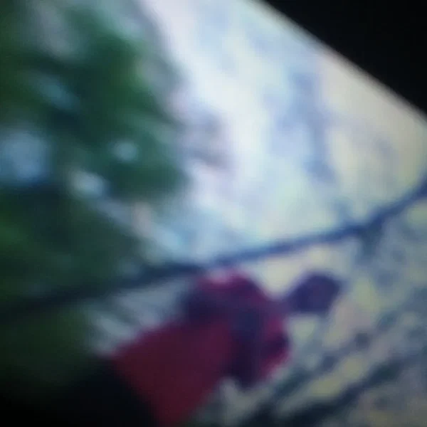 IHYDFM