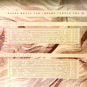 Insane Music For Insane People Vol. 13 by Various Artists - album cover