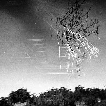 Field I