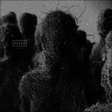 Nine Inch Nails - Reaps Remixes 005