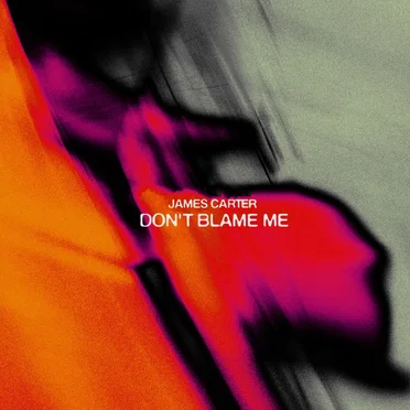 Don't Blame Me