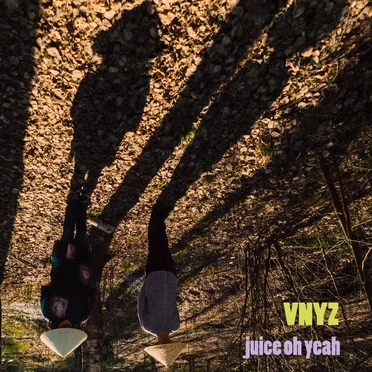 Vnyz