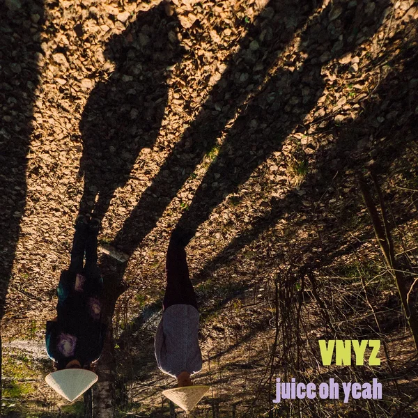 Vnyz