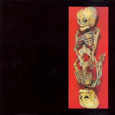Copula by Atom Infant Incubator - album cover