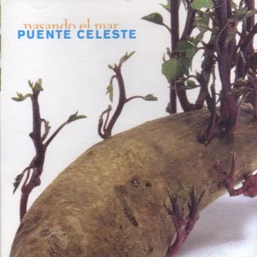 Pasando el mar by Puente Celeste - album cover