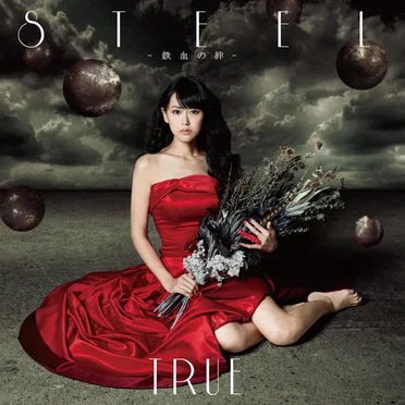 STEEL —鉄血の絆—