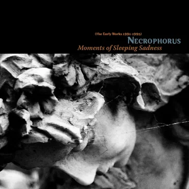 Moments of Sleeping Sadness by Necrophorus - album cover