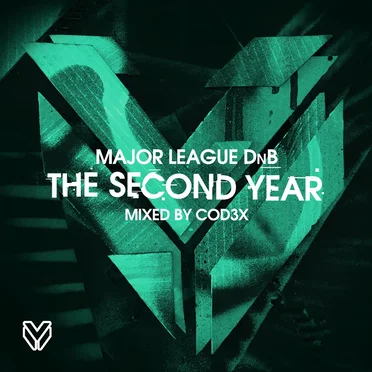 The Second Year (unmixed tracks) by Various Artists - album cover