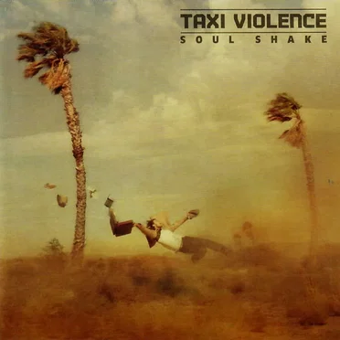 Taxi Violence