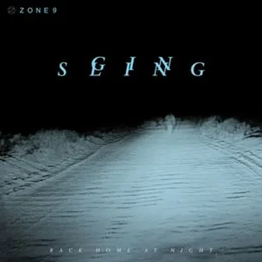 Back Home At Night by Gin Sling - album cover