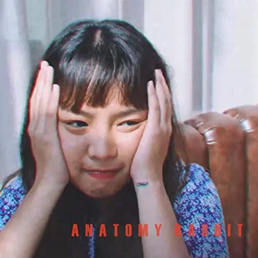 Extraordinary by Anatomy Rabbit - album cover