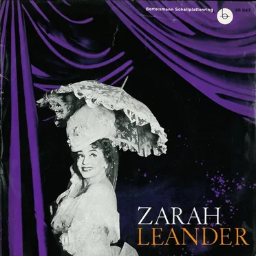 Im Zauber einer Stimme – 6. Folge